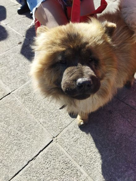 Awesome Product Image