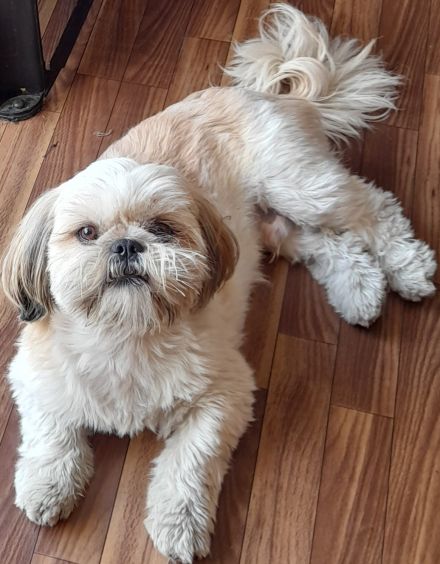 Awesome Product Image