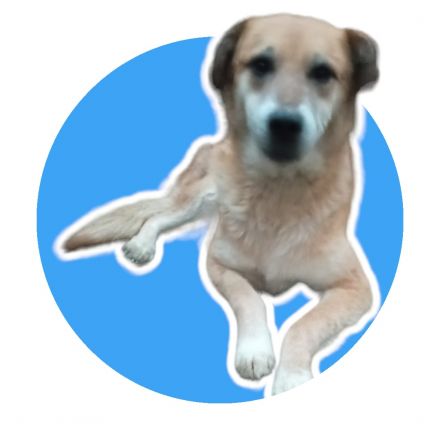 Awesome Product Image