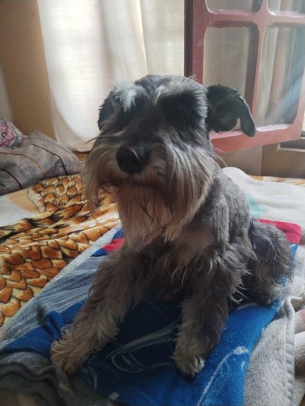 Awesome Product Image