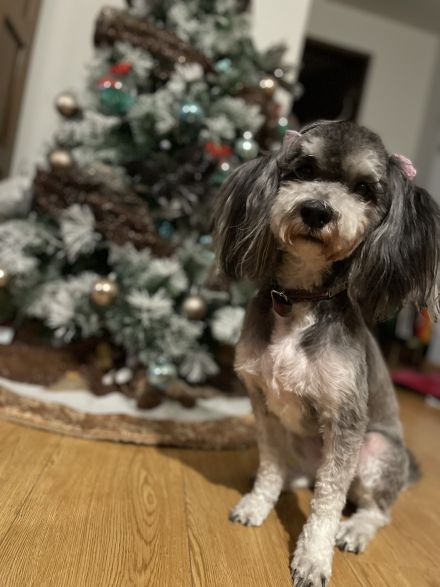 Awesome Product Image