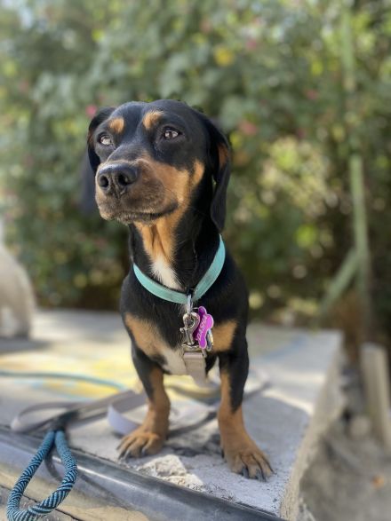 Awesome Product Image