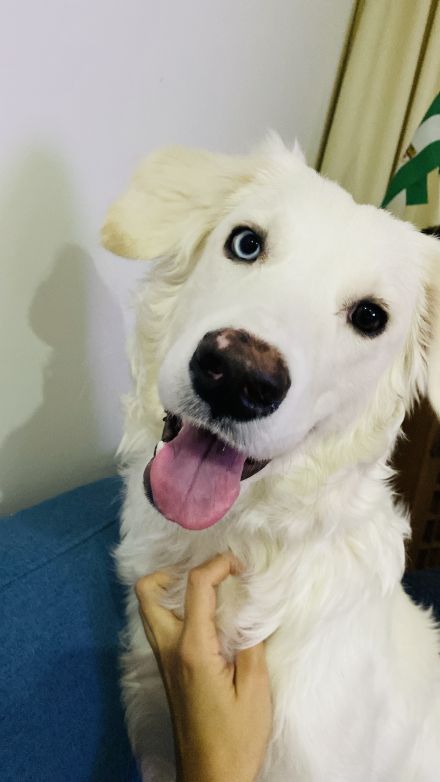 Awesome Product Image