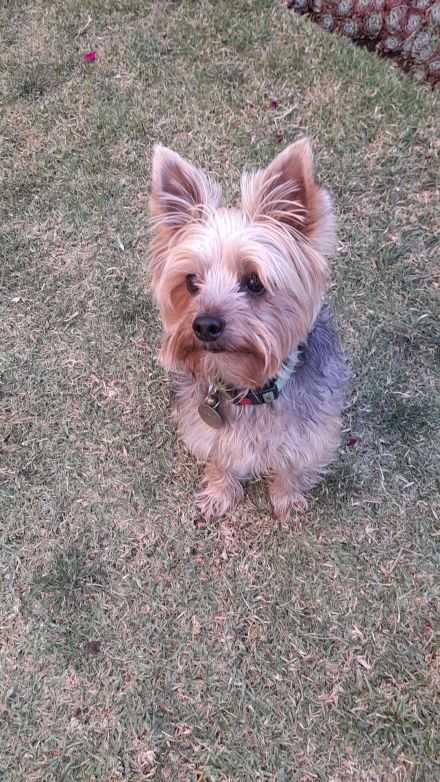 Awesome Product Image