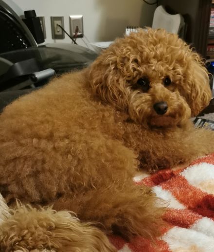 Awesome Product Image