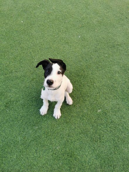 Awesome Product Image