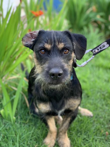 Awesome Product Image