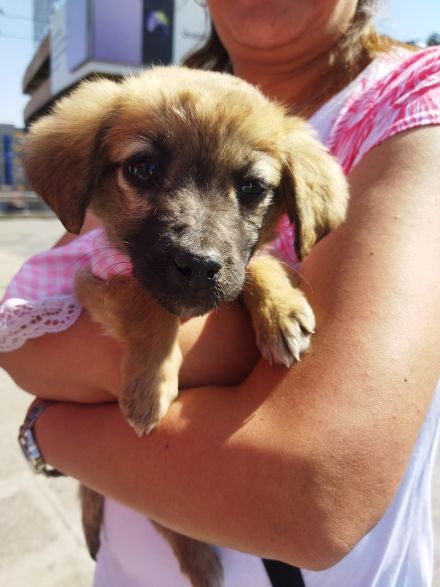 Awesome Product Image