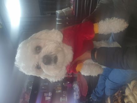 Awesome Product Image