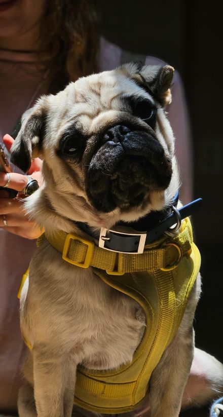 Awesome Product Image