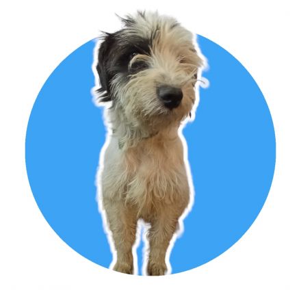 Awesome Product Image