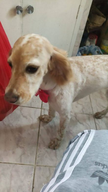 Awesome Product Image