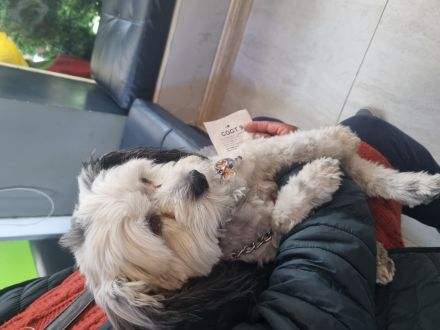 Awesome Product Image