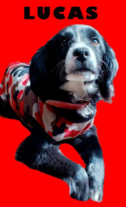 Awesome Product Image