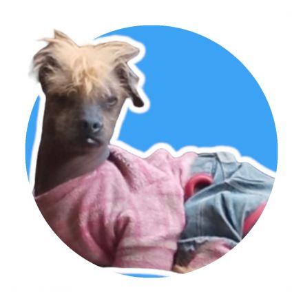 Awesome Product Image