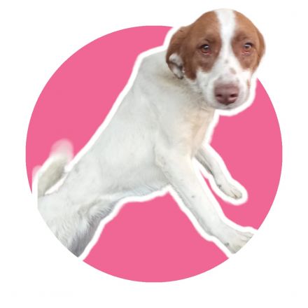 Awesome Product Image