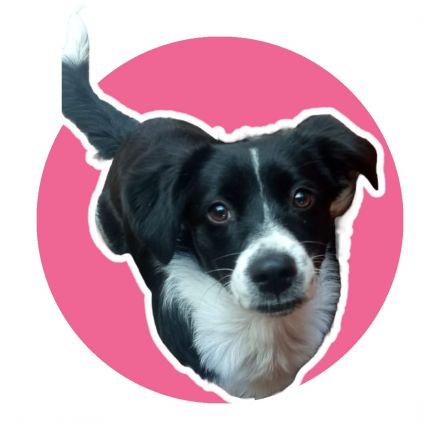 Awesome Product Image