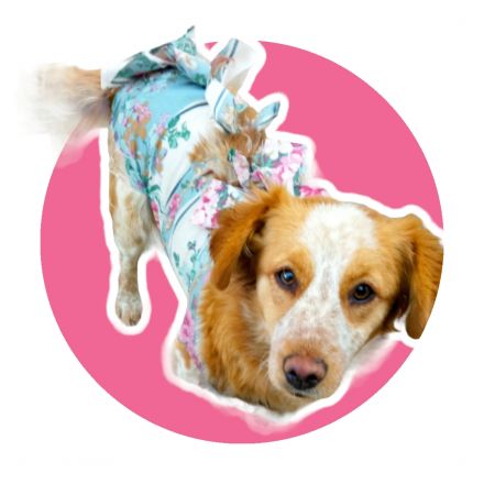 Awesome Product Image