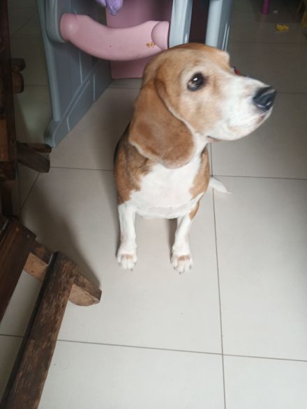 Awesome Product Image