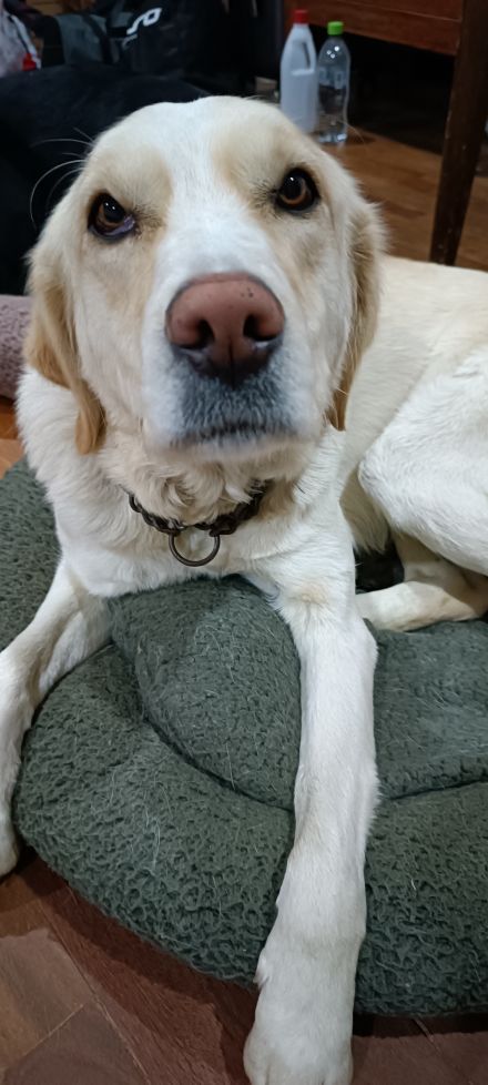 Awesome Product Image