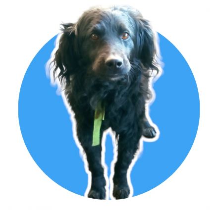 Awesome Product Image