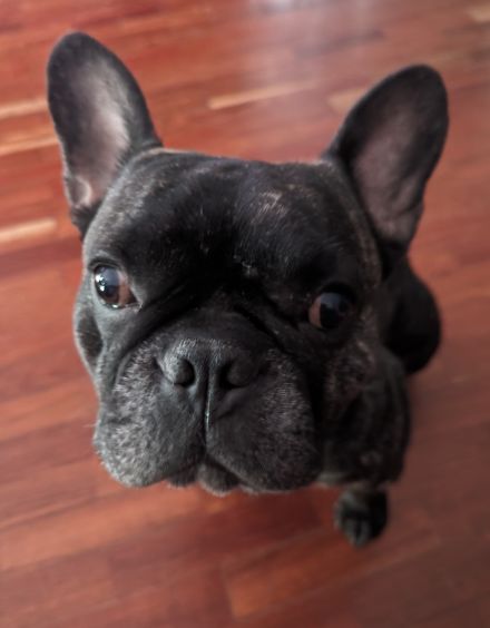 Awesome Product Image