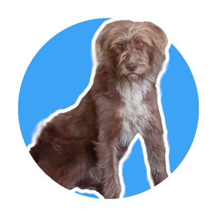 Awesome Product Image