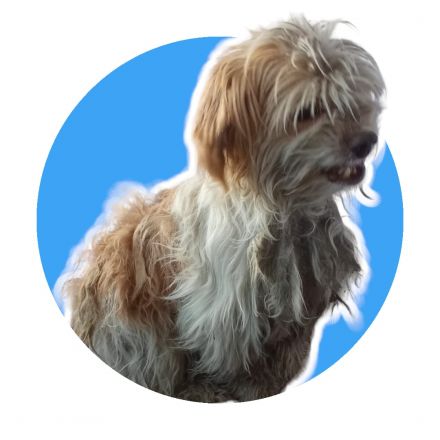 Awesome Product Image