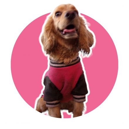 Awesome Product Image