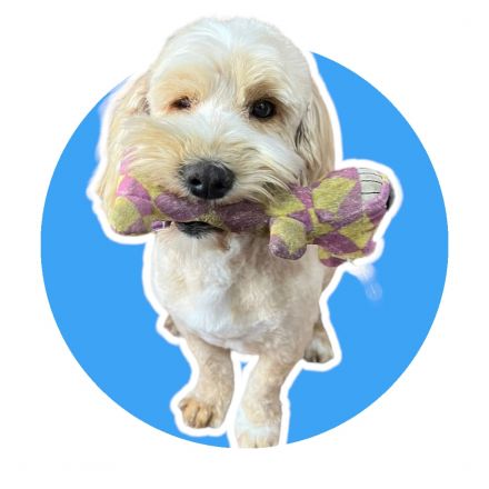 Awesome Product Image