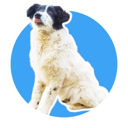 Awesome Product Image