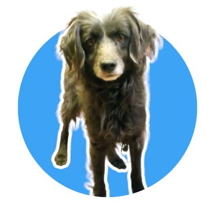 Awesome Product Image