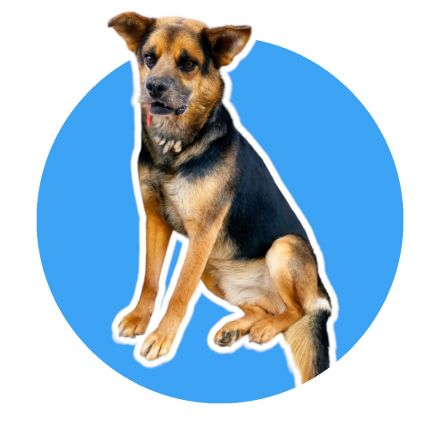 Awesome Product Image