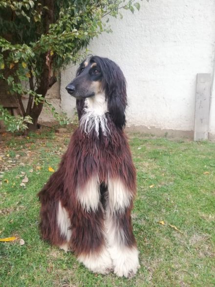 Awesome Product Image