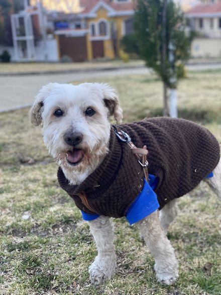 Awesome Product Image