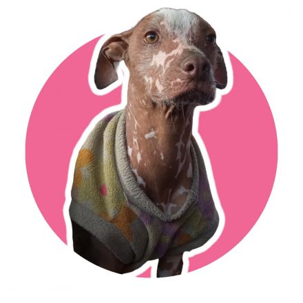 Awesome Product Image