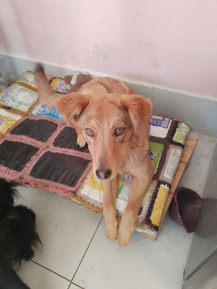 Awesome Product Image