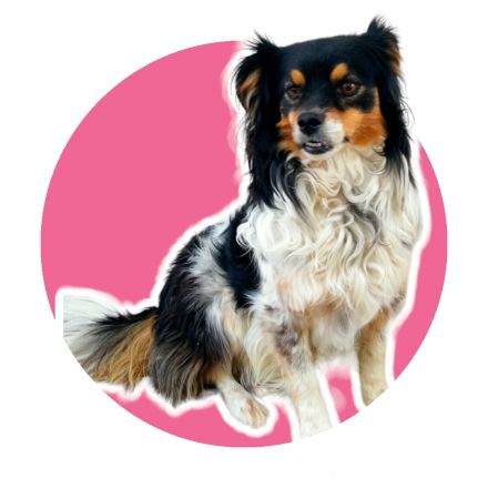 Awesome Product Image