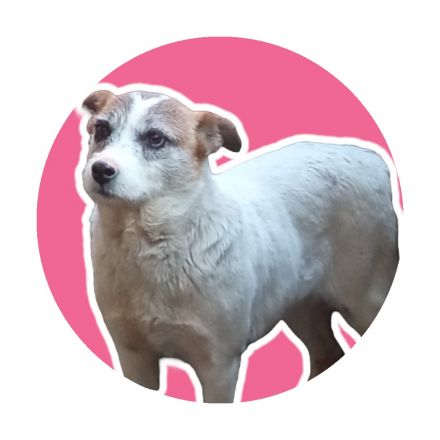 Awesome Product Image