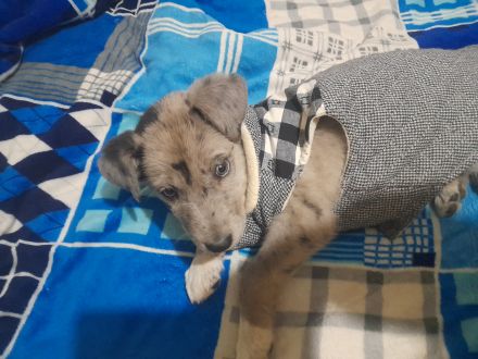 Awesome Product Image