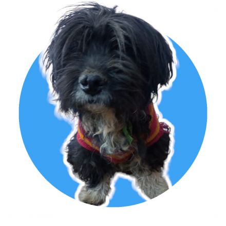 Awesome Product Image