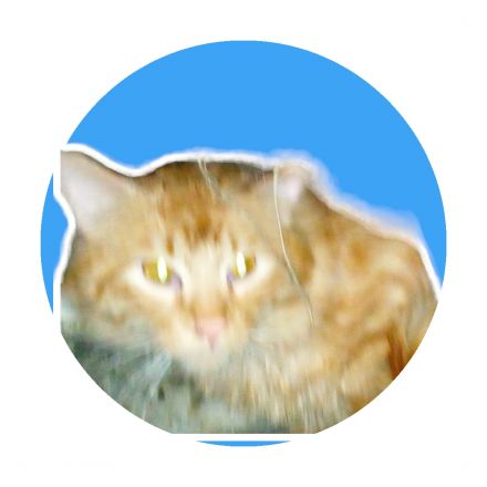 Awesome Product Image