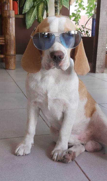 Awesome Product Image