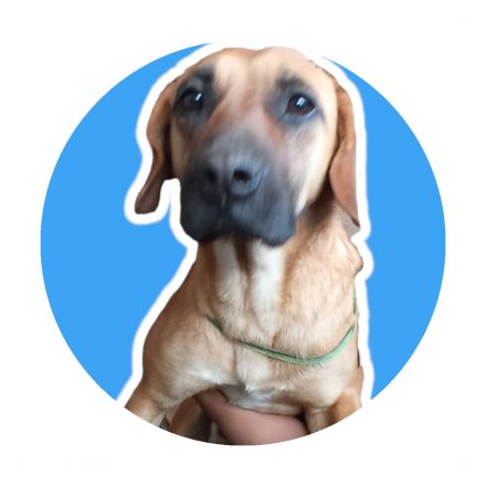 Awesome Product Image