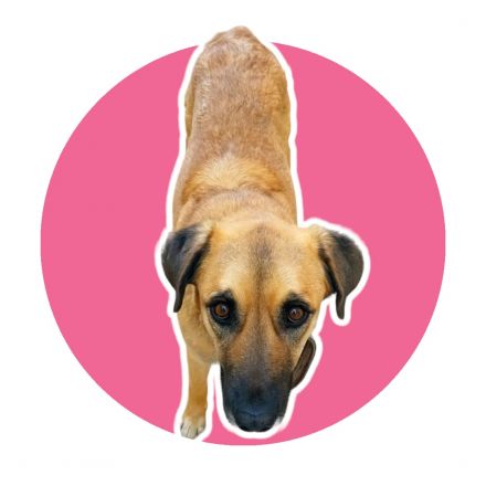 Awesome Product Image