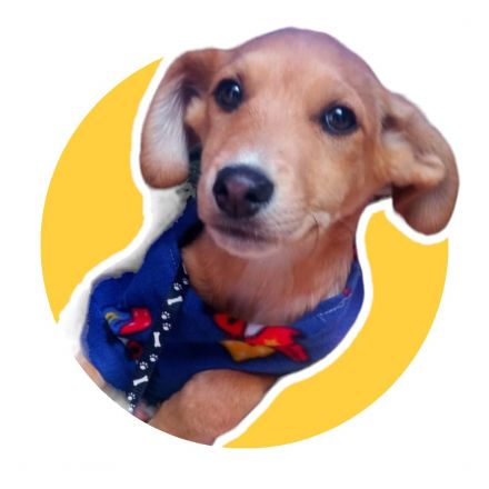 Awesome Product Image