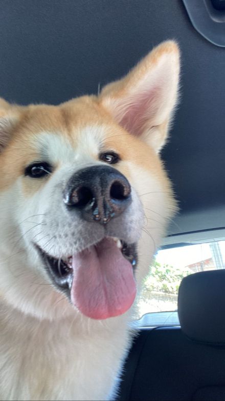 Awesome Product Image