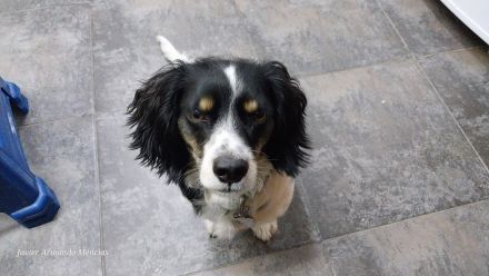 Awesome Product Image