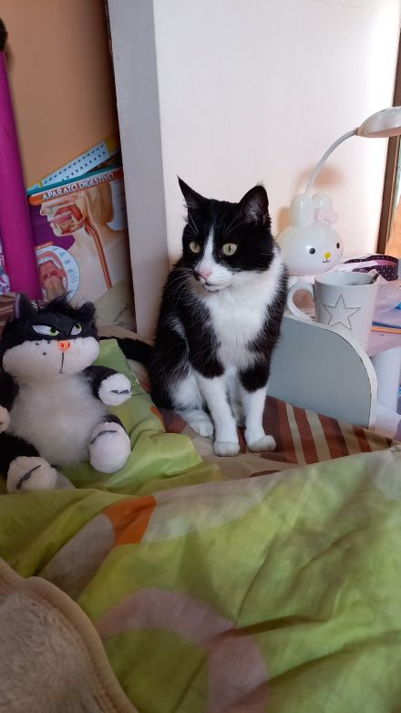 Awesome Product Image