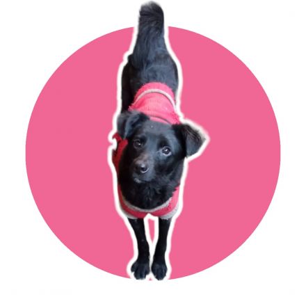 Awesome Product Image